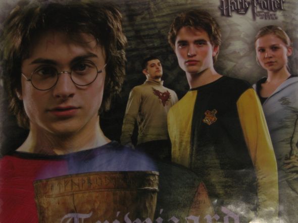 harry potter a ucastnici turnaje.jpg